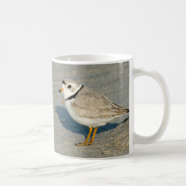 Piping Plover Mug (Right)