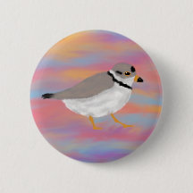 Piping Plover on a Sunset Sky
