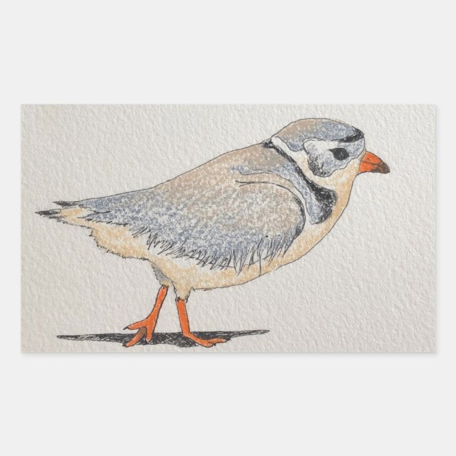 Piping Plover Sticker (Front)