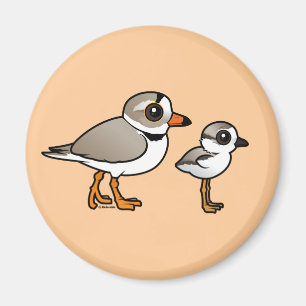 Piping Plover with chick Magnet