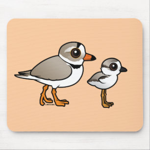 Piping Plover with chick Mouse Pad