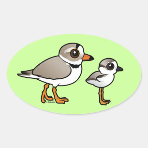 Piping Plover with chick Oval Sticker