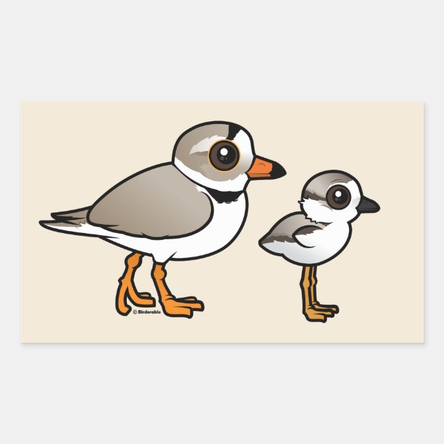 Piping Plover with chick Rectangular Sticker (Front)