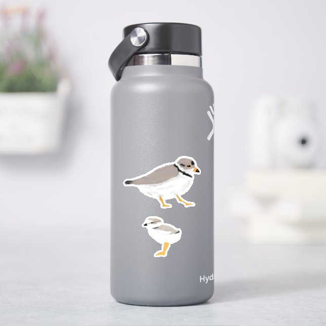 Piping Plover with its Chick (HydroFlask)