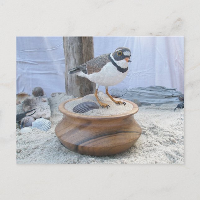 Piping Plover Woodcarving Postcard (Front)