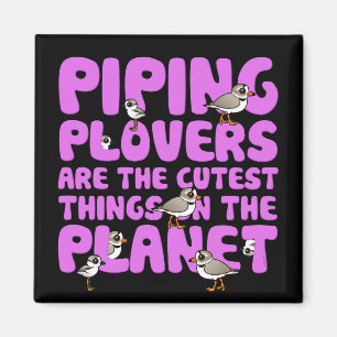 Piping Plovers are the Cutest Things on the Planet Magnet