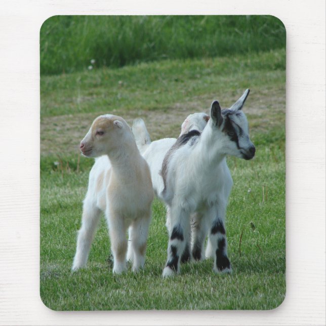 Pippi and Grey Mouse Pad (Front)