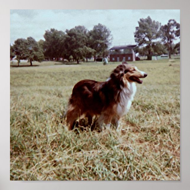 Pippin Poster (Front)