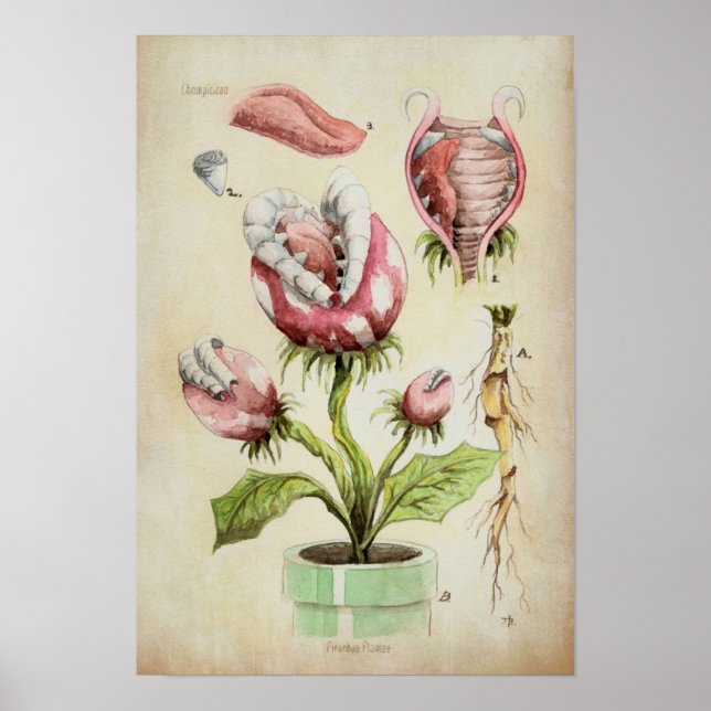 Piranha Plant Botanical Illustration Poster (Front)
