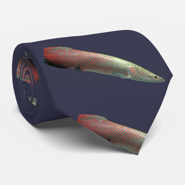 Pirarucu , Arapaima gigas ネクタイ Tie (Rolled)