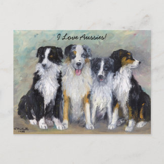 Pirate and Daughters - Australian Shepherds Postcard