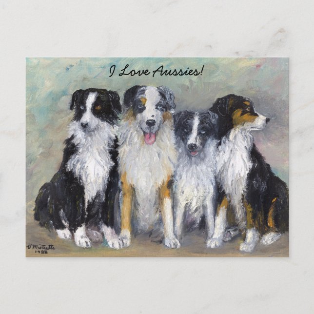 Pirate and Daughters - Australian Shepherds Postcard (Front)