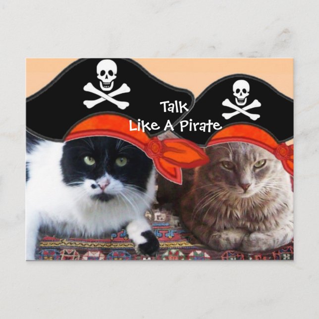 PIRATE CATS AND ANTIQUE PIRATES TREASURE MAPS POSTCARD (Front)