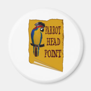 Pirate Parrot Head Magnet