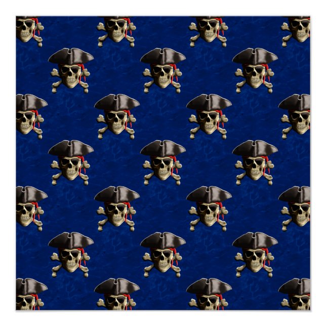 Pirate Skull And Hat Poster (Front)