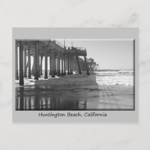 Pire blk wh grey border postcard