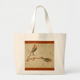 Pisces Bag