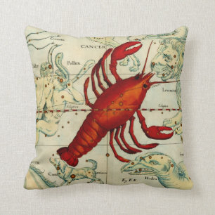 Pisces Cancer Fish Lobster Sea Astrology Astronomy Cushion