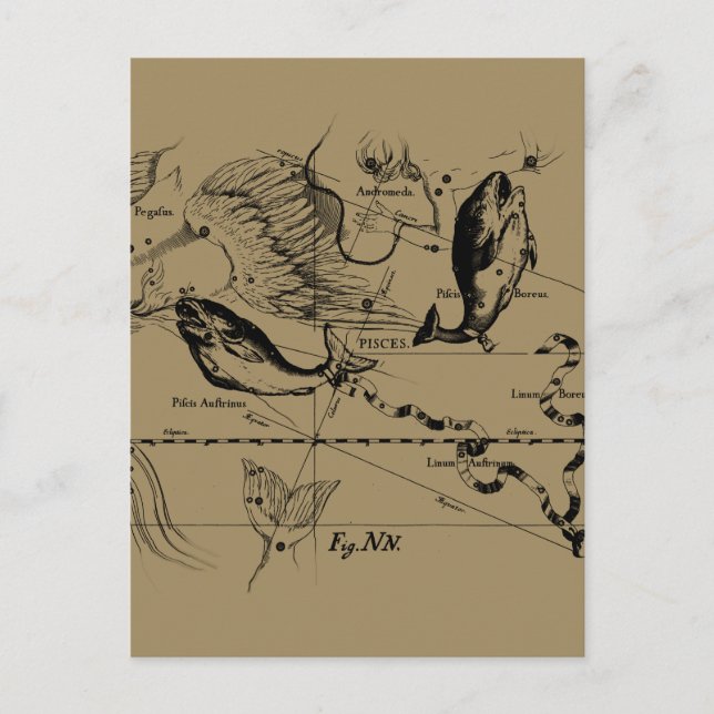 Pisces Constellation Hevelius 1690 Decor Postcard (Front)