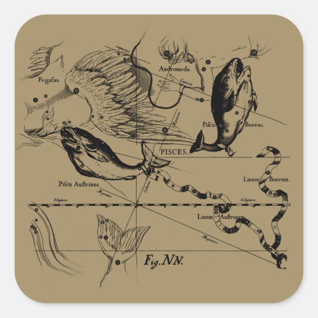 Pisces Constellation Hevelius 1690 Decor Square Sticker (Front)