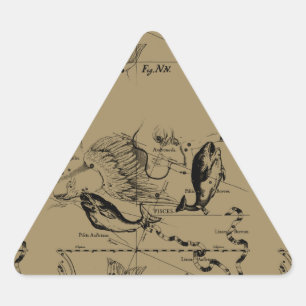 Pisces Constellation Hevelius 1690 Decor Triangle Sticker
