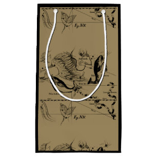 Pisces Constellation Hevelius 1690 Feb19 -March 20 Small Gift Bag
