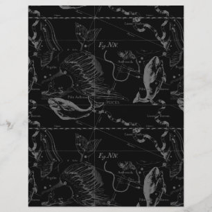 Pisces Constellation Hevelius 1690 on Black