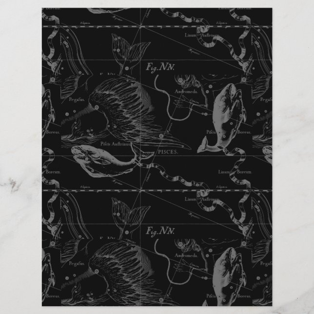 Pisces Constellation Hevelius 1690 on Black (Front)