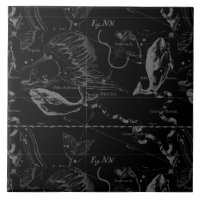Pisces Constellation Hevelius 1690 on Black