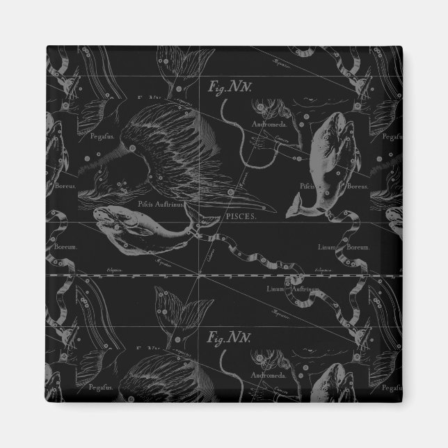Pisces Constellation Hevelius 1690 on Black Magnet (Front)