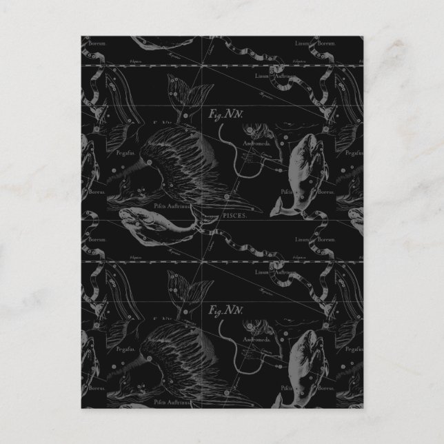 Pisces Constellation Hevelius 1690 on Black Postcard (Front)