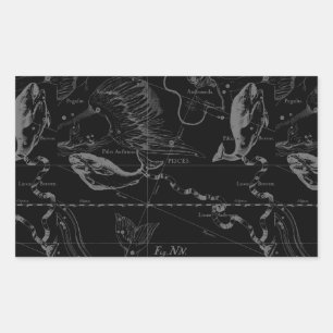 Pisces Constellation Hevelius 1690 on Black Rectangular Sticker