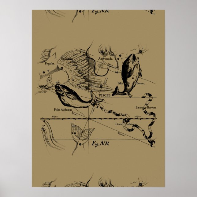 Pisces Constellation Hevelius 1690 on Taupe Poster (Front)