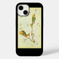 Pisces Fish, Vintage Constellation Urania's Mirror