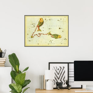 Pisces Fish, Vintage Constellation Urania's Mirror Poster
