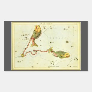 Pisces Fish, Vintage Constellation Urania's Mirror Rectangular Sticker