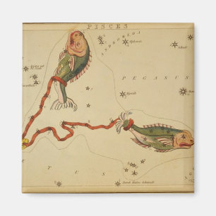 Pisces Magnet