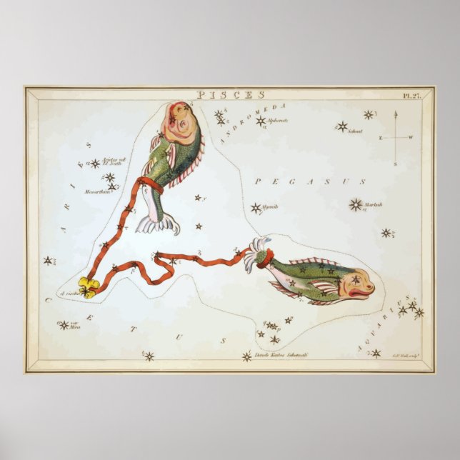 Pisces - Piscis - Horoscope - Astrology - Stars Poster (Front)