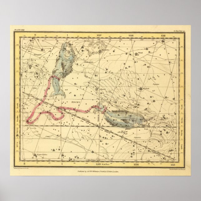 Pisces Poster (Front)