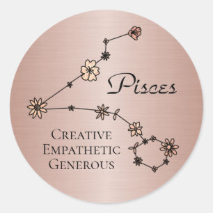 Pisces Zodiac Fish Star Sign Flower Constellation Classic Round Sticker