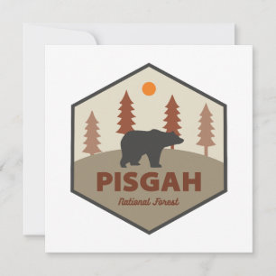Pisgah National Forest Bear
