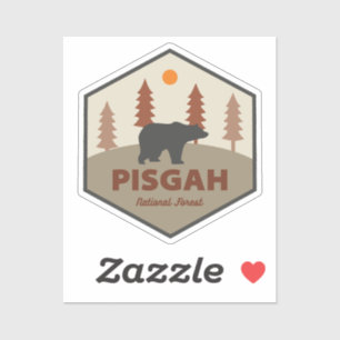 Pisgah National Forest Bear