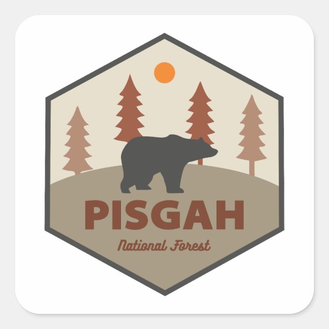Pisgah National Forest Bear Square Sticker (Front)