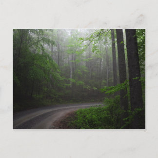 Pisgah National Forest, North Carolina postcard
