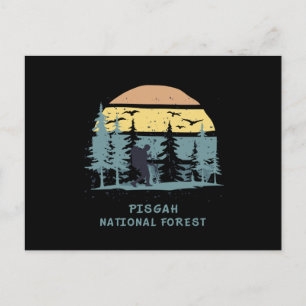 Pisgah National Forest Postcard