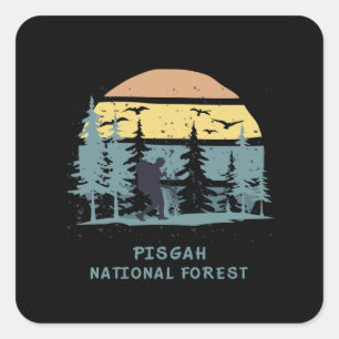 Pisgah National Forest Square Sticker
