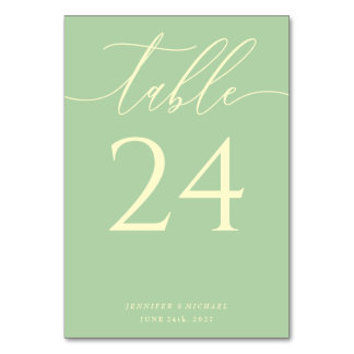 Pistachio & Cream Simple Elegant Seating Table Number