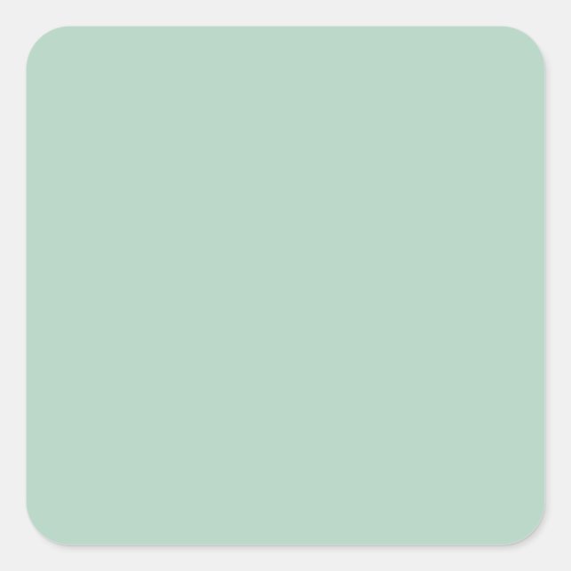 Pistachio Green B2D3C2 Colour, Option to Add Image Square Sticker (Front)
