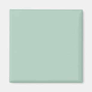 Pistachio Green B2D3C2 Colour - Option to Add Name Magnet