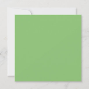 Pistachio Nut Green Solid Colour Card